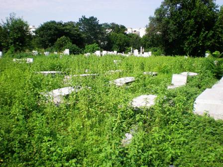 Plovdiv cemetery carpark